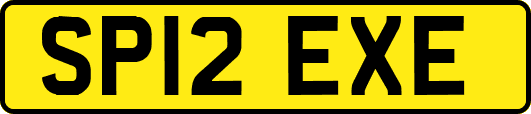 SP12EXE