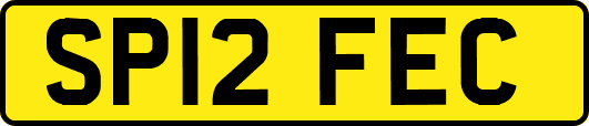 SP12FEC