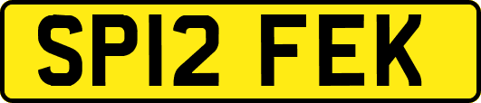SP12FEK