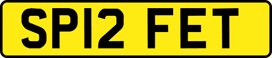 SP12FET