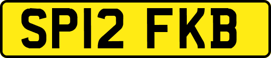 SP12FKB