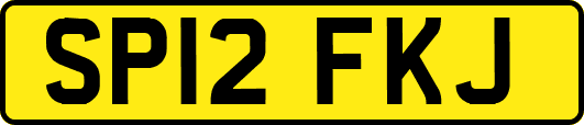 SP12FKJ