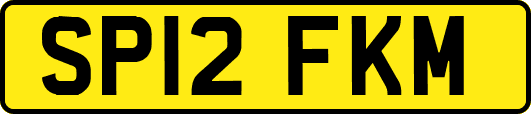 SP12FKM