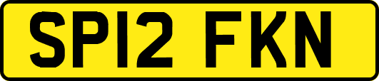 SP12FKN