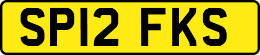 SP12FKS