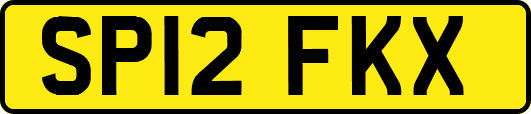 SP12FKX