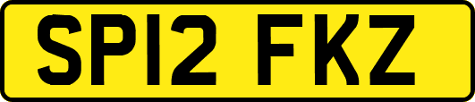 SP12FKZ
