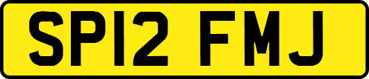 SP12FMJ