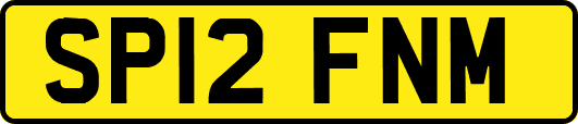 SP12FNM