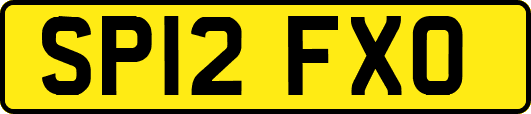 SP12FXO