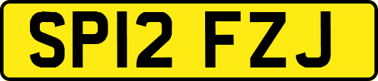 SP12FZJ