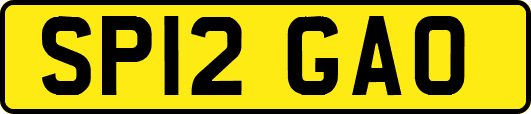 SP12GAO