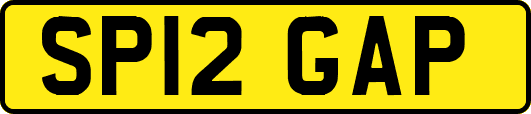SP12GAP