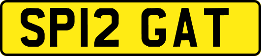 SP12GAT