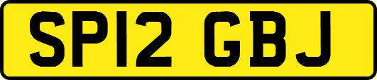 SP12GBJ