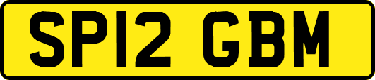 SP12GBM