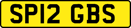 SP12GBS