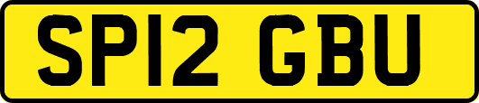 SP12GBU