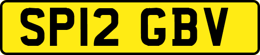 SP12GBV