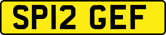 SP12GEF