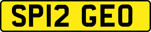 SP12GEO
