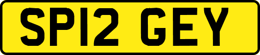 SP12GEY