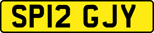 SP12GJY