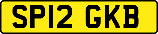 SP12GKB