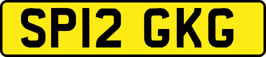 SP12GKG