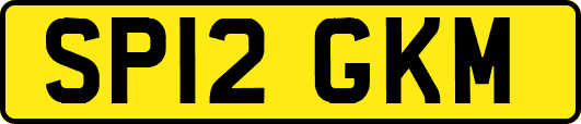 SP12GKM