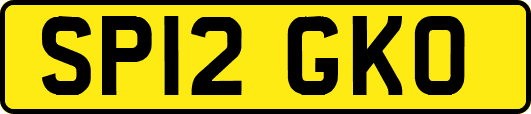 SP12GKO