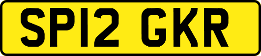 SP12GKR