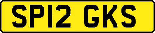 SP12GKS