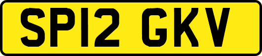 SP12GKV