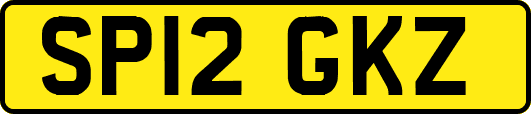 SP12GKZ