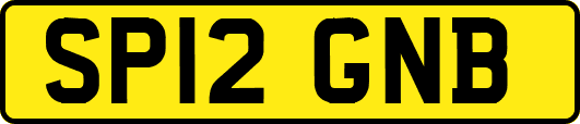 SP12GNB