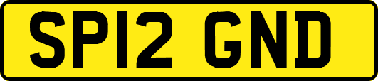 SP12GND