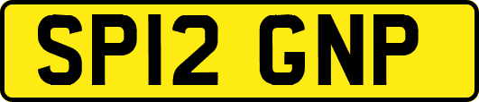SP12GNP