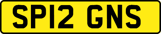 SP12GNS