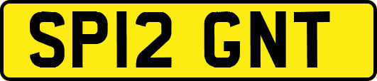 SP12GNT