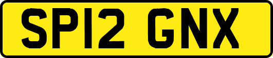 SP12GNX