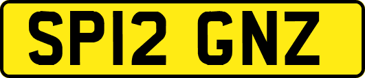 SP12GNZ