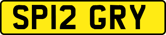 SP12GRY