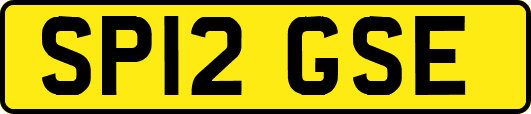 SP12GSE