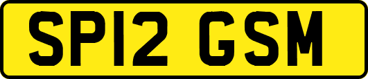 SP12GSM