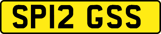 SP12GSS