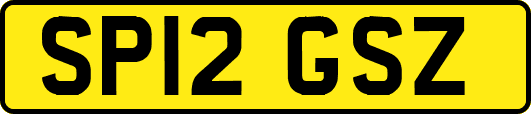 SP12GSZ