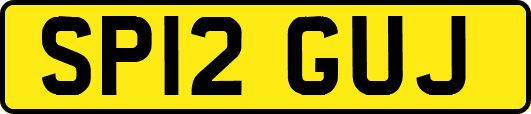SP12GUJ