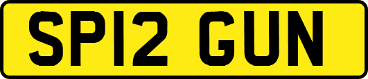 SP12GUN