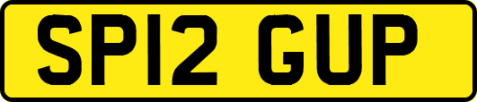 SP12GUP